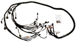 K20 K24 K Series Tucked Wiring Harness For RHD LHD RWD K-Swap Integra CRX EK EG JackSpania Racing